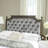 Fleur Upholstered Headboard-9742815-9742810