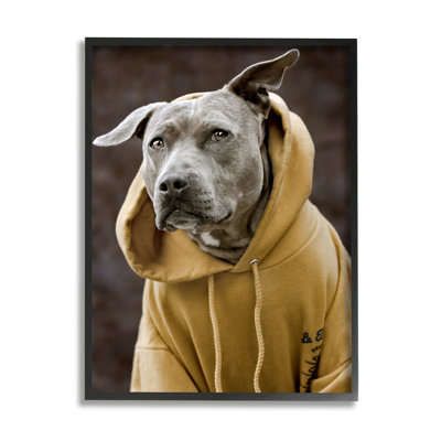 " Smiling Labrador Dog Wearing Hooded Yellow Sweatshirt " by Michael Brian