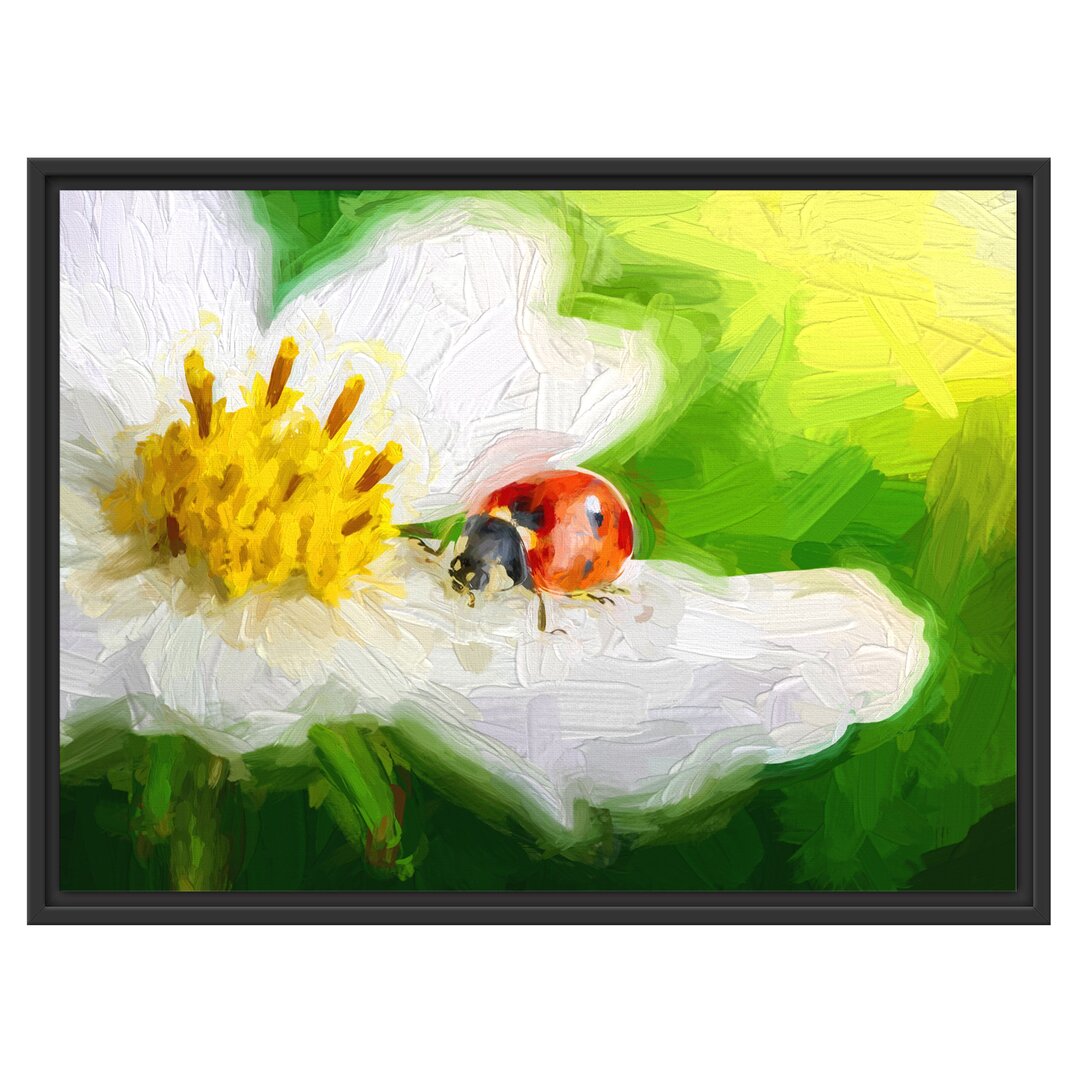 Gerahmter Fotodruck Ladybird auf einer Blume