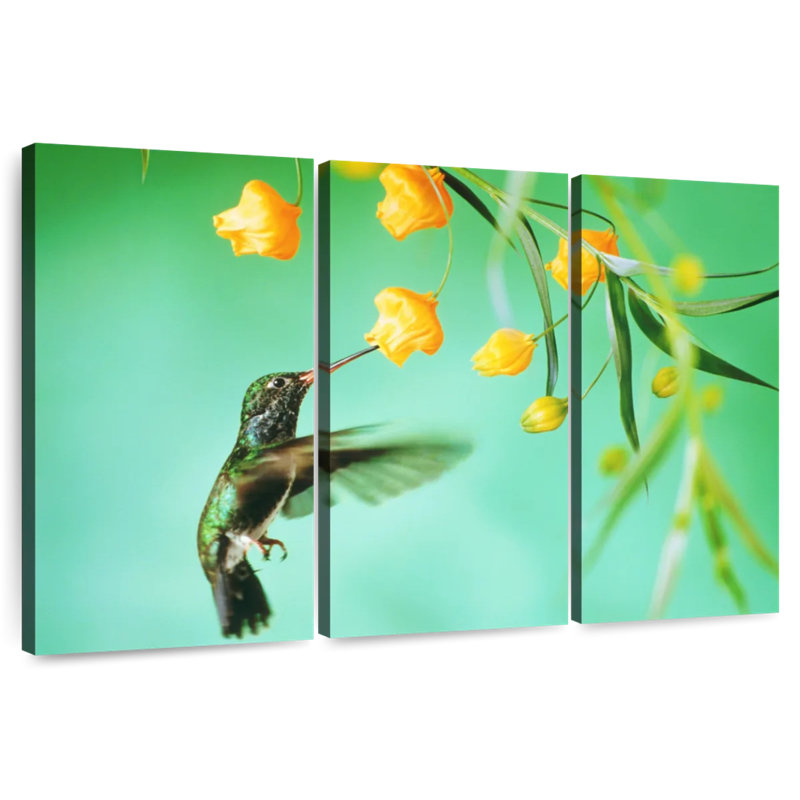 Colibri assoiffé Brampt, H 32 po x l 50 po