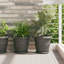 Planter