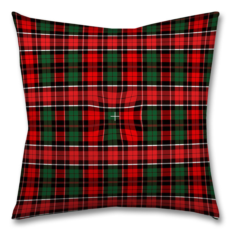 Plaid Reversible Throw Pillow