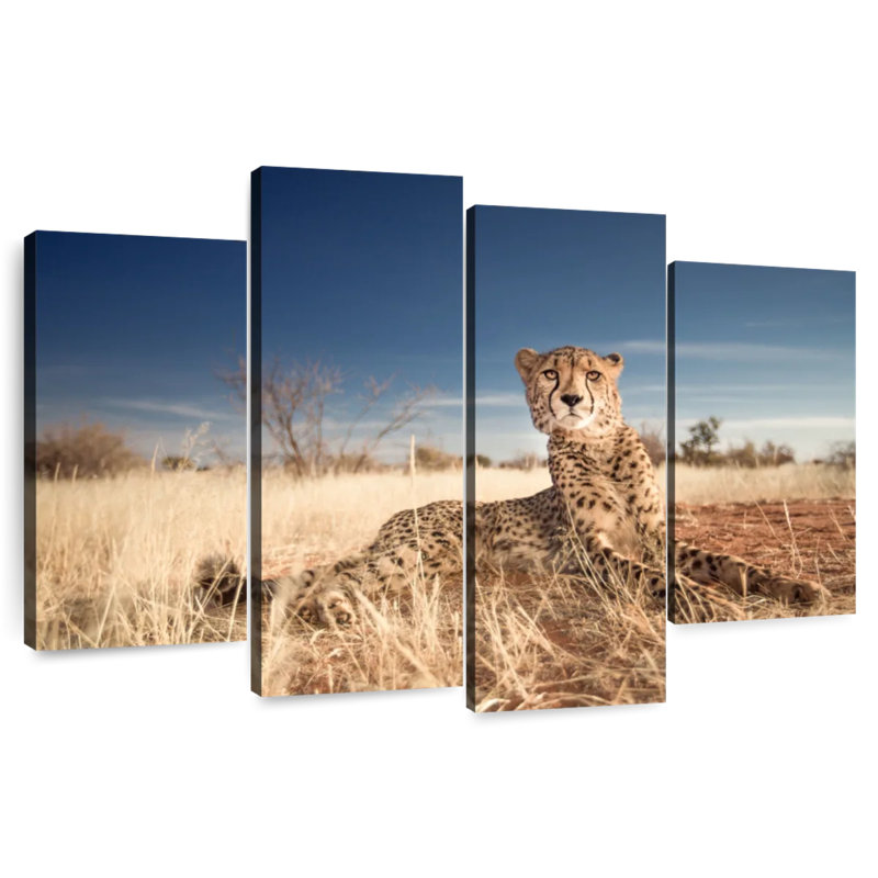 Brampt Alert Cheetah