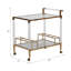 Everly Quinn 32" Lushley Acrylic Drink Cart