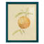 «Dappled Oranges III», reproduction d'art encadrée-90560737-90560738