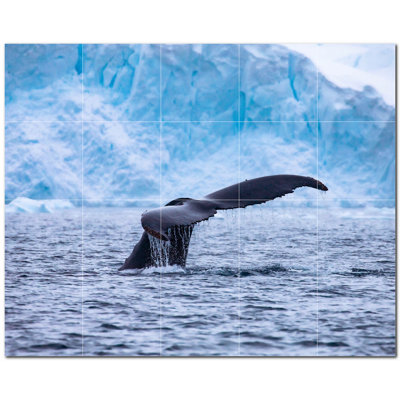 Murale en céramique satinée Whale Photo 12 po x 12 po