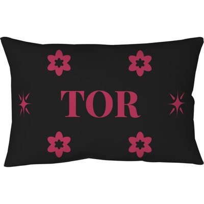 Coussin d'extérieur soufflé et fermé Toronto Basketball 20 po x 14 po