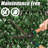 Parnassus Single Side Expandable Faux Hedge Artificial Ivy Fencing