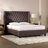 Ashton Tufted Upholstered Low Profile Platform Bed-593423005-593423004