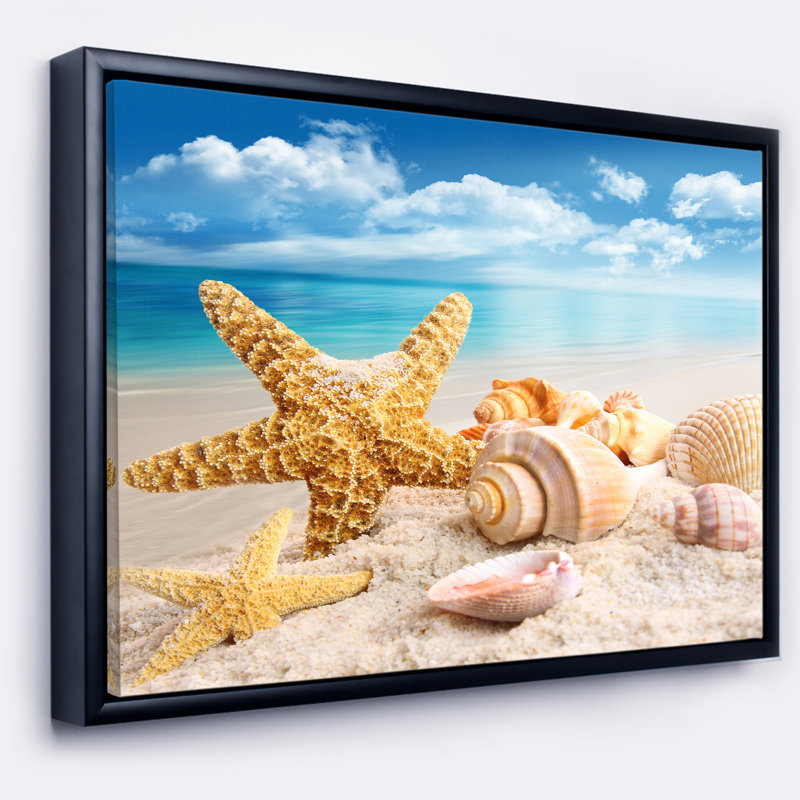 «Starfish and Seashells on Beach», photographie, H 12 po x l 20 po x P 1 po, Cadre flottant