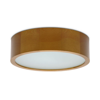 Altavious Glass Flush Mount