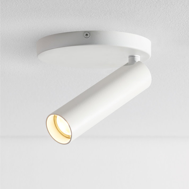 LED Spotlight, White