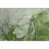 Rectangle 1'8" x 2'6"