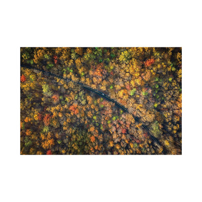 Road Through A Dense Autumn Forest by Jonathan Ross Photography - Wrapped Canvas Painting
