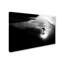 « the surfer », reproduction de photo sur toile tendue-22675457