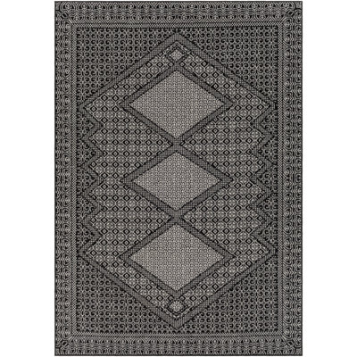 Dancy Southwestern Indoor Rug