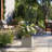 Redegonda Handmade Planter Box-1478226904-1478226907