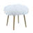 Eury Faux Fur Accent Ottoman With Gold Legs