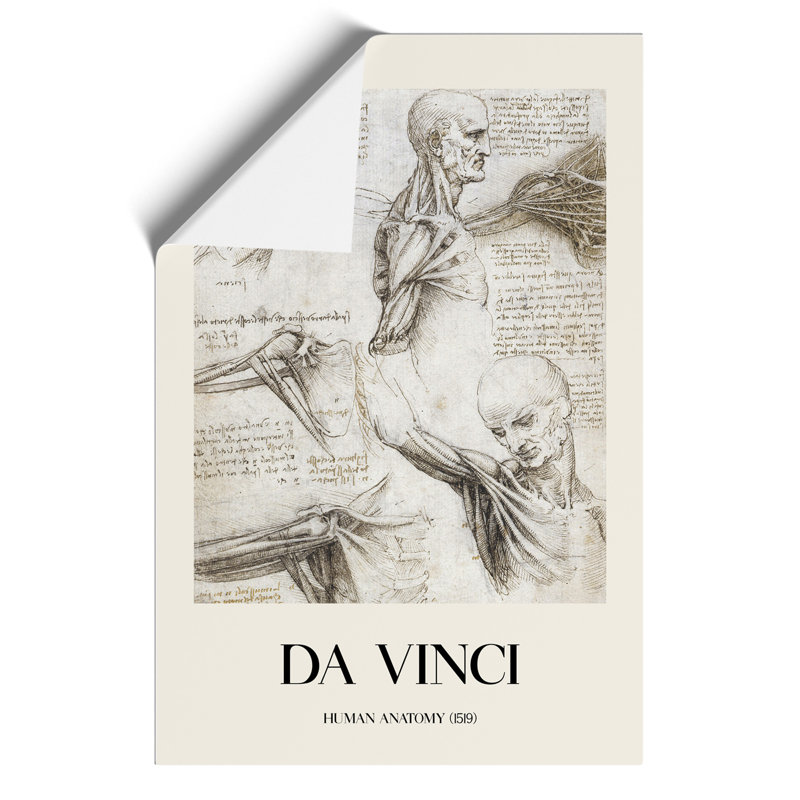 Human Anatomy Vol.3 by Leonardo Da Vinci - No Frame Print, 59cm H x 42cm W x 0.1cm D