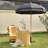 Struve Replacement Canopy
