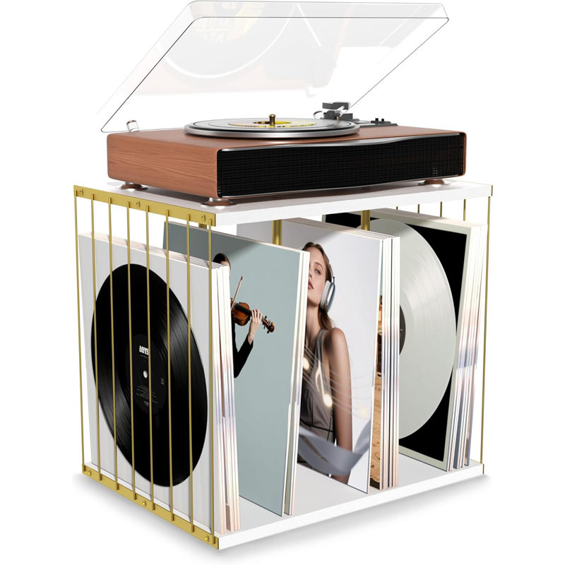Rangement pour disque vinyle, porte-disque en métal et en bois jusqu'à 80 albums