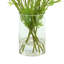 Poppy Arrangement in Glass Vase