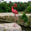 Flamingo No Additional Durability Metal Garden Statue