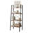 Giovanne Ladder