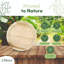 Ensemble d'assiettes rondes Dtocs Palm Leaf