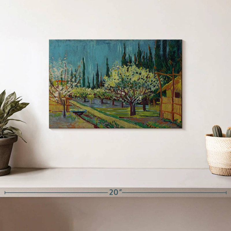Harnek Orchard Borded By Cypresses, H 8 po x l 12 po
