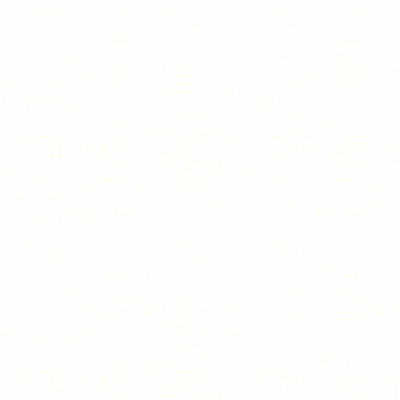 Plain Fabric
