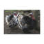 Wall Art on Canvas-1554808081