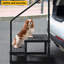Steel Step Ladder