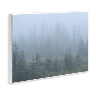 Foggy Forest Trees Wall Plaque Art by Hunter Page Photography