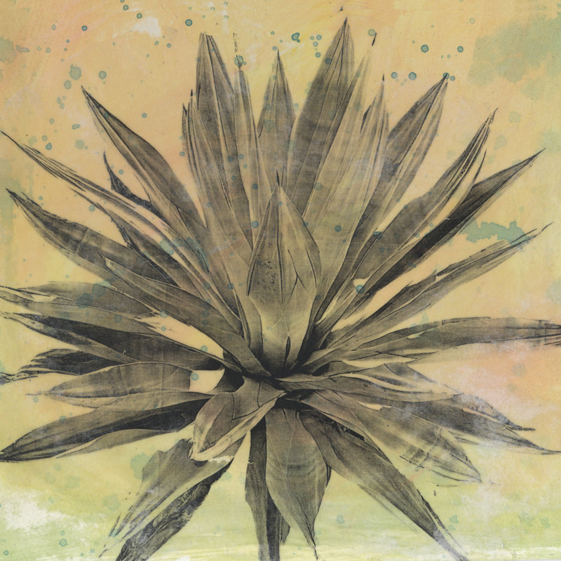 " Desert Dreams I " Painting Print, 36" H x 36" W x 1.25" D