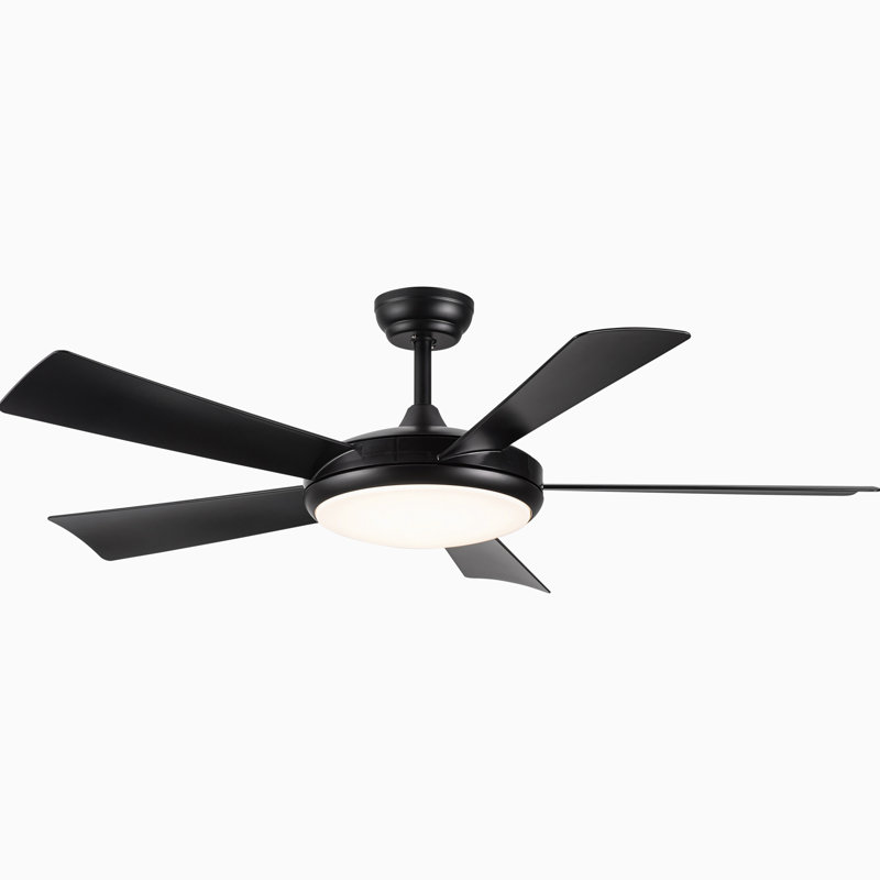 51.96'' Ceiling Fan with LED Lights, Black