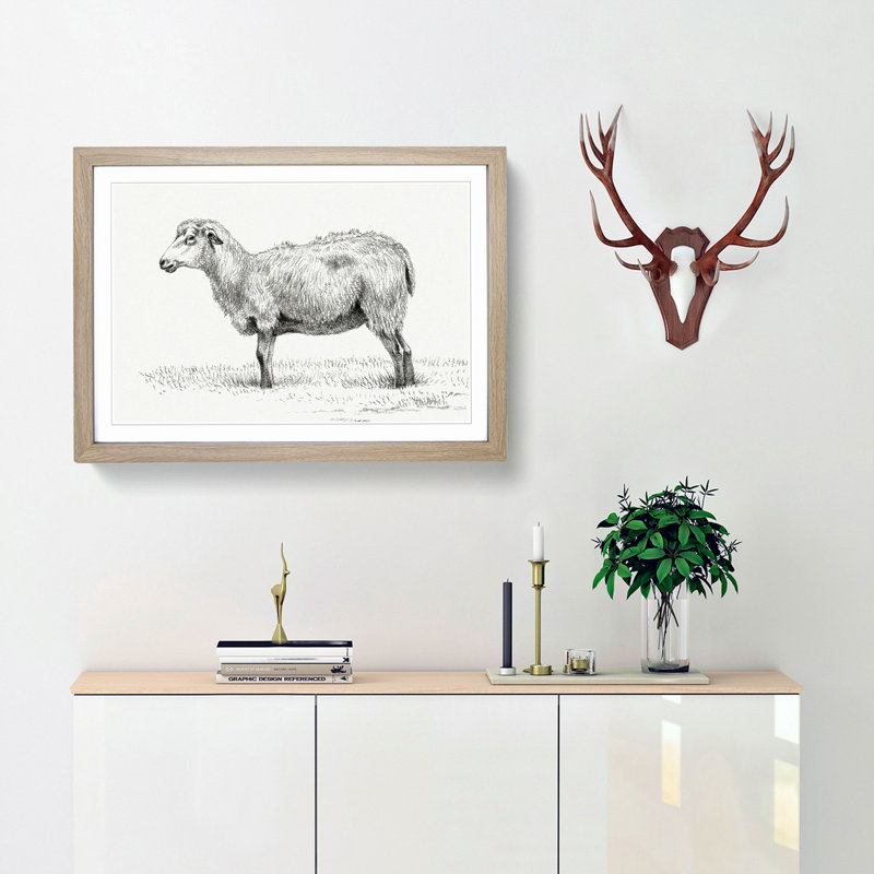 Standing Sheep by Jean Bernard - Framed Print, 48cm H x 65cm W x 2cm D, Oak Framed