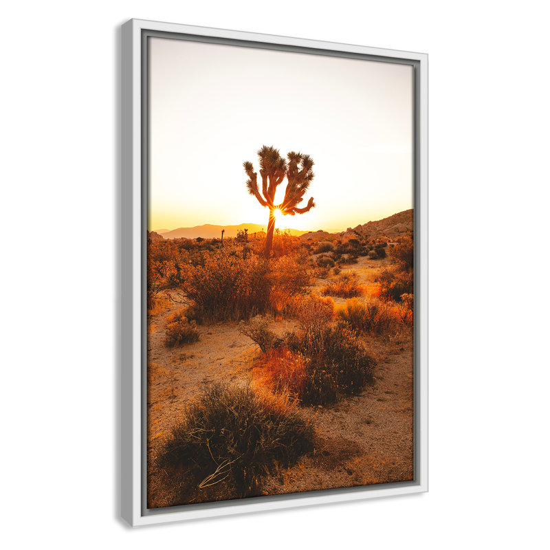 «Desert Dawn» par Joshua Earle - reproduction imprimée, H 19,5 po x l 13,5 po x P 2 po, Cadre flottant blanc, Pas de tapis