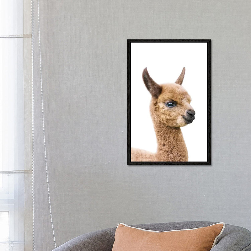 Baby Llama by Sisi & Seb - Gallery-Wrapped Canvas Giclée on Canvas, 66.04 cm H x 45.72 cm W, Black Framed