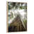 Floating Frame Natural Wood