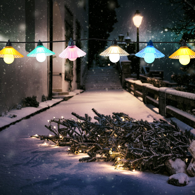 Raegen Outdoor 10 - Bulb 192'' Plug-in String Light, Multicolor