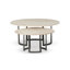 Axtell Marble Nesting Coffee Table