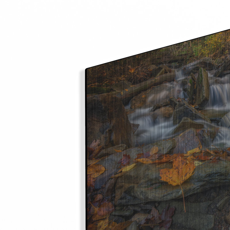 Mur en métal Millwood Pines «Fallen Leaf In Ricketts Glen» par Rick Berk, H 12 po x l 16 po