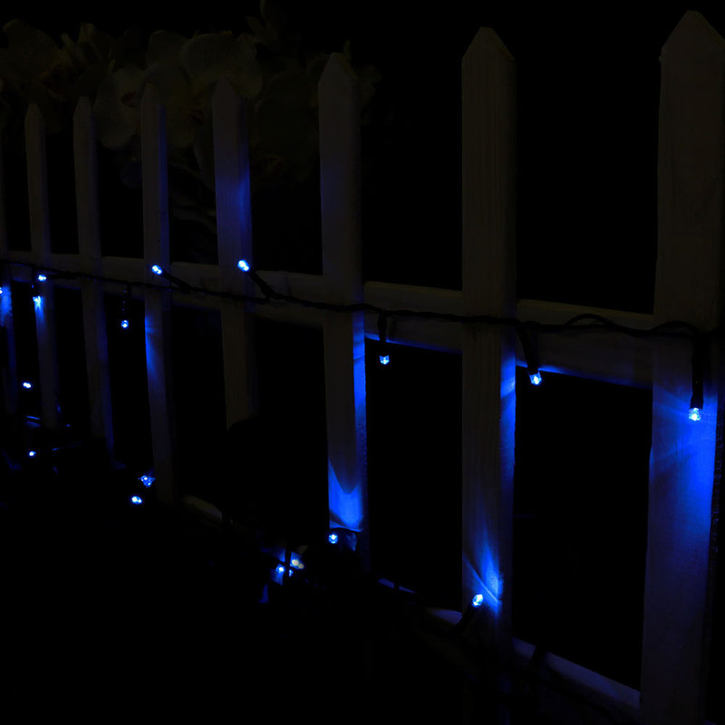 Nandu Outdoor 100 - Bulb 34'' Solar Powered LED Wide Angle LED String Light, Blue