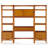Leaning / Ladder Desk