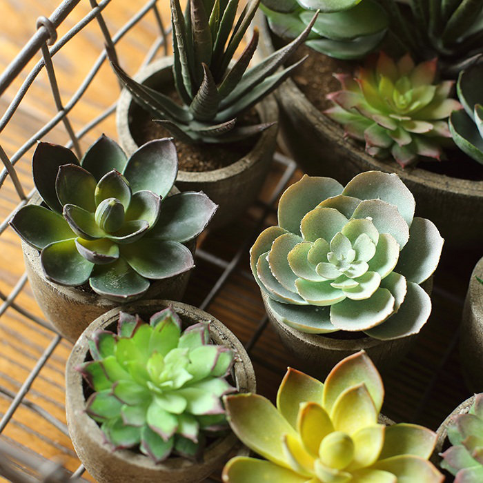 3'' Faux Succulent Plant in Pot
