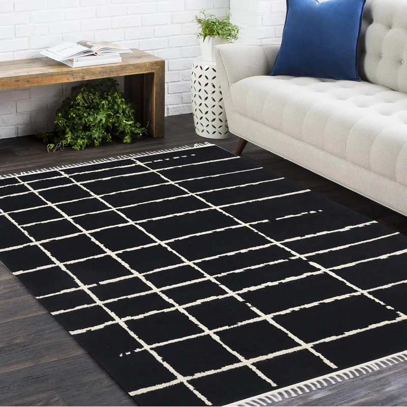Paris Hand Knotted Area Rug in Black/White, Rectangle 3' x 5'