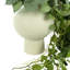 Ringold Faux Ivy Plant in Ceramic Vase
