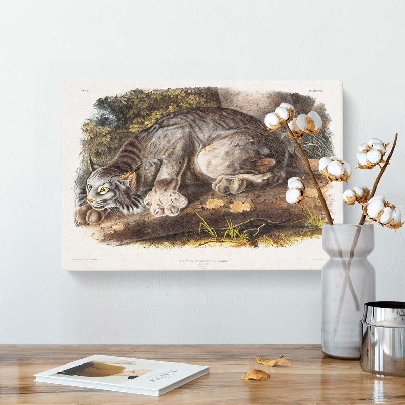 Canadian Lynx by J.W. Audubon - Wrapped Canvas Painting, 40cm H x 60cm W x 3cm D