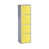 Grey/Yellow